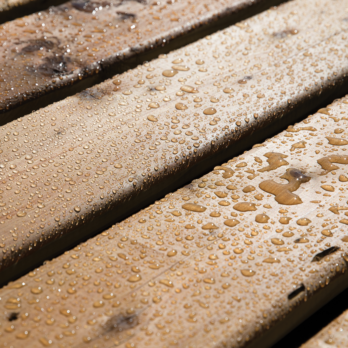 Wood Stain & Sealer Protector for Wood Decks & Fences Wood Stain & Sealer Protector for Wood Decks & Fences