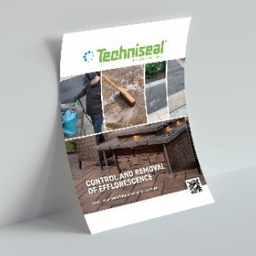 341-430 | Efflorescence Control and Removal