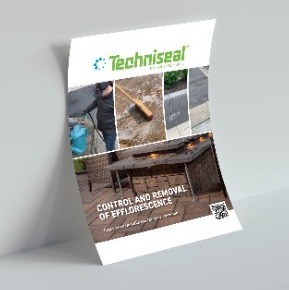 341-432 | Prevention and Removal of Efflorescence