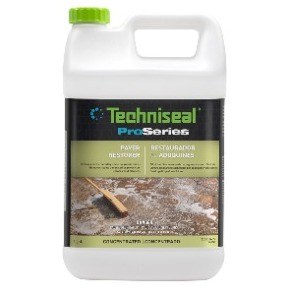 TSLP Cln. Paver Restorer 1gal | 60301605