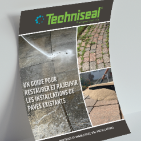 341-456 | Restoring and Rejuvanating Existing Paver Installations - Southeast